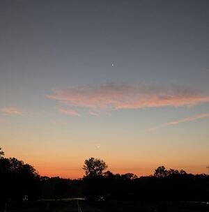 Meet your Posher, Billy